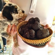 11329989_10206521302973578_8234606206127577281_n